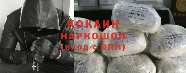 шишки Богородицк
