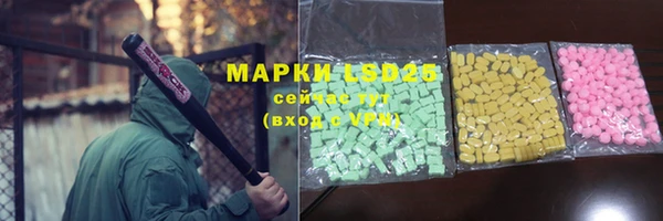 шишки Богородицк