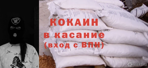 шишки Богородицк