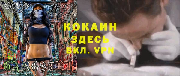 шишки Богородицк