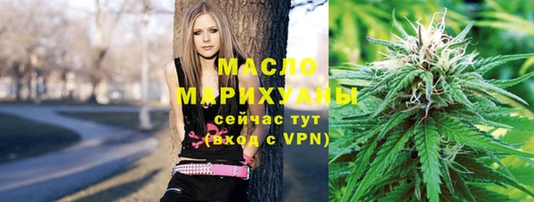 шишки Богородицк