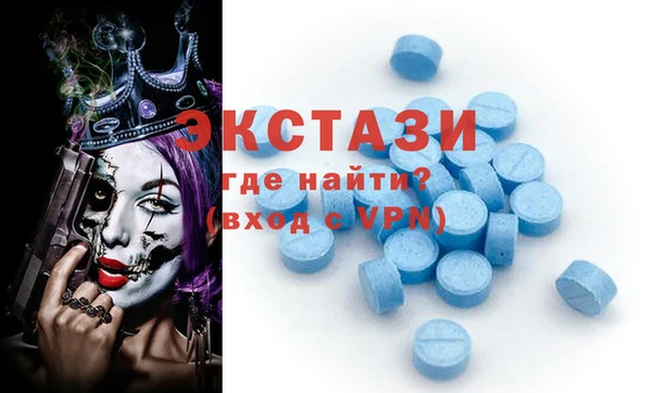 шишки Богородицк