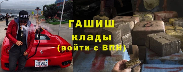 шишки Богородицк