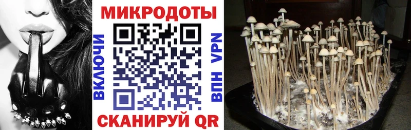 Купить закладки  Белоозёрский  Галлюциногенные грибы MAGIC MUSHROOMS 